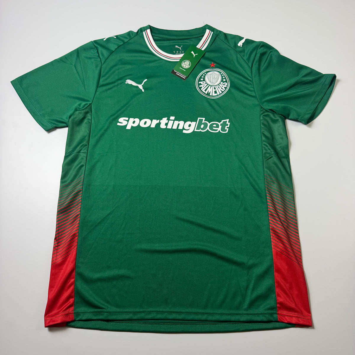 Palmeiras – Torcedor 26-27