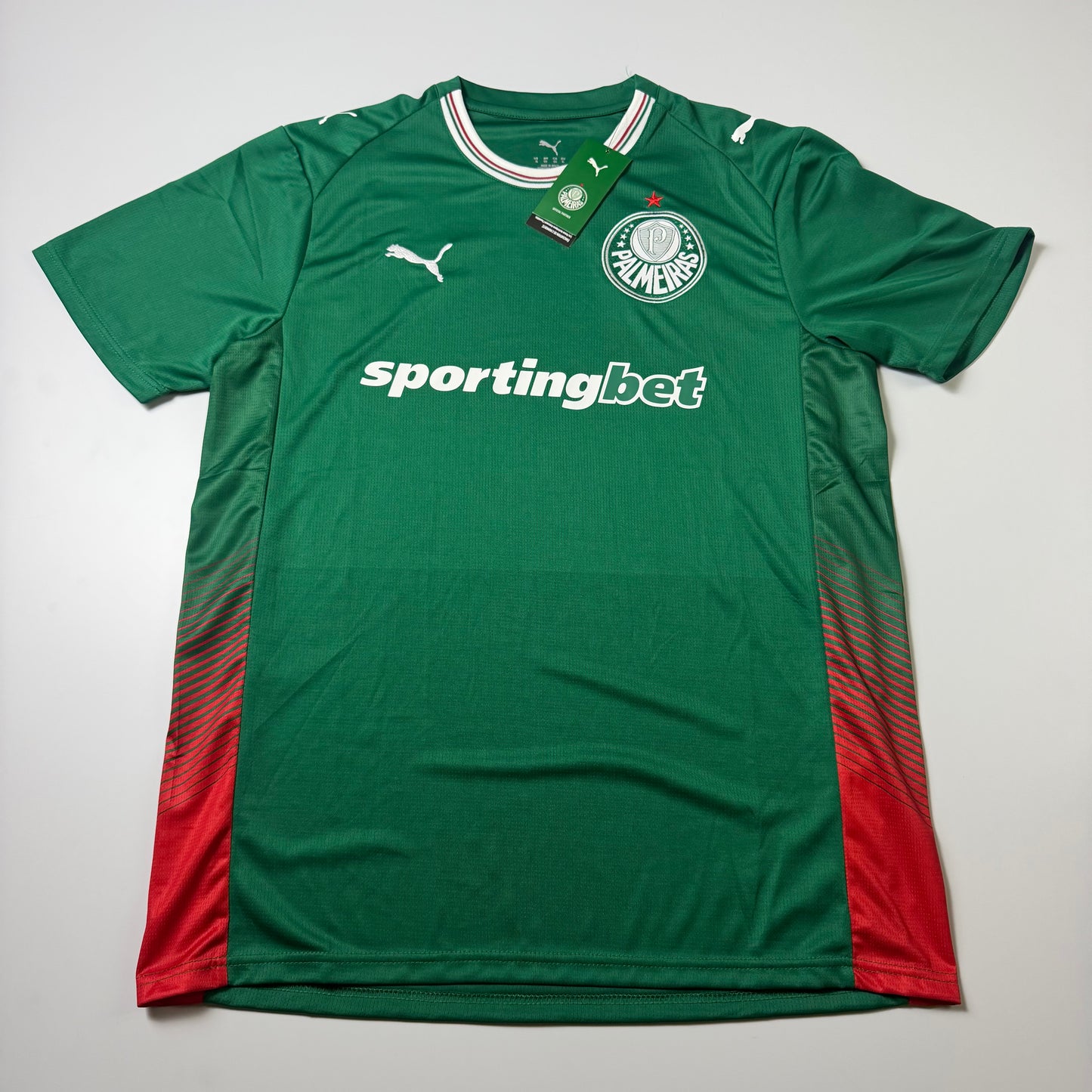 Palmeiras – Torcedor 26-27