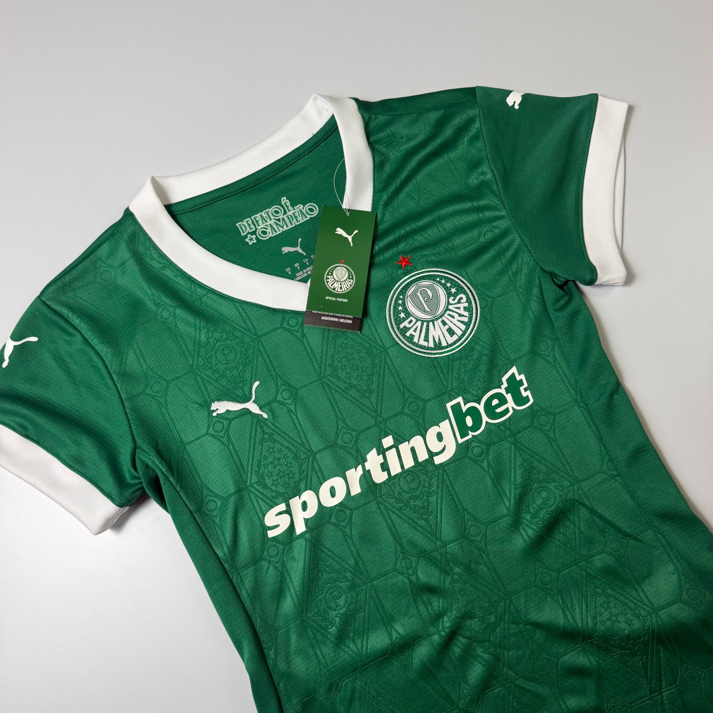 Palmeiras – Feminina 25-26