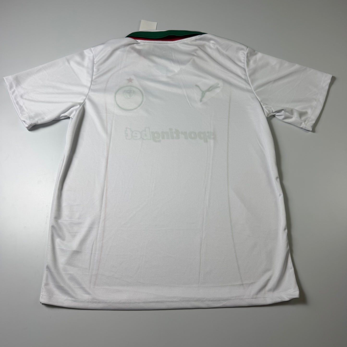 Palmeiras – Torcedor 26-27