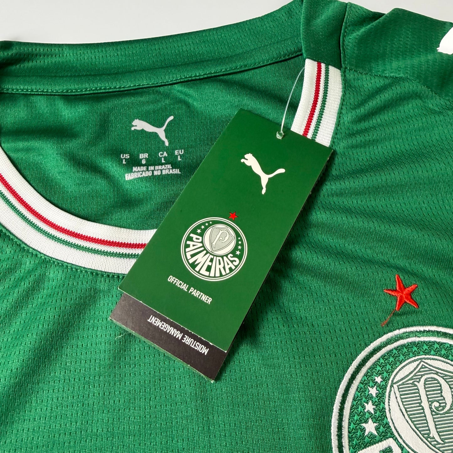 Palmeiras – Feminina 26-27